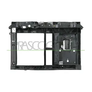 PG3203210 PRASCO