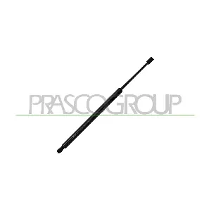 VG1019055 PRASCO