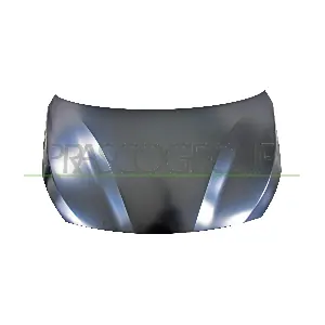 BM2003100 PRASCO