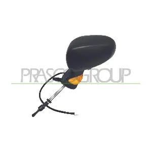 RN3087114 PRASCO