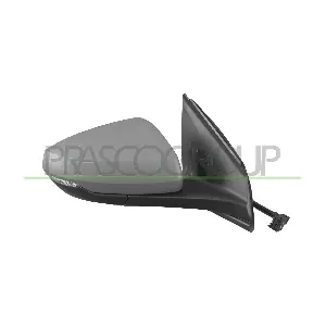 VG0257313 PRASCO