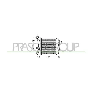 FT030N002 PRASCO