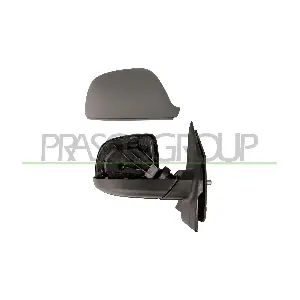 VG9197013 PRASCO