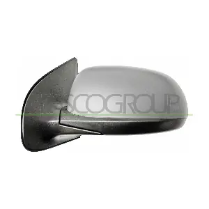 HN2007304P PRASCO