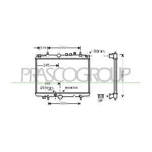 CI520R010 PRASCO