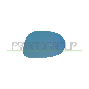 FT1387504 PRASCO