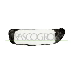FT9107534 PRASCO