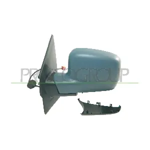 VG9177324 PRASCO
