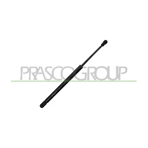 VG2019055 PRASCO