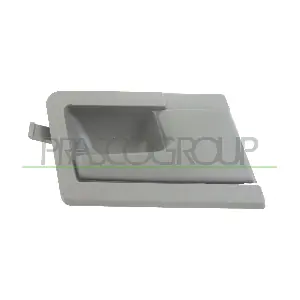 VG9138407 PRASCO
