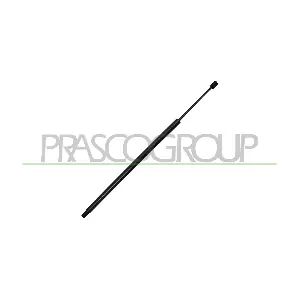 VG9049055 PRASCO
