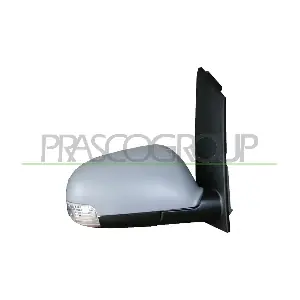 VG7157313 PRASCO