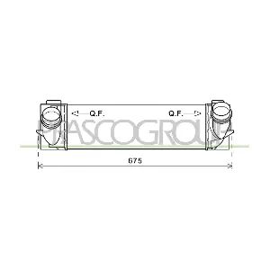 BM804N002 PRASCO