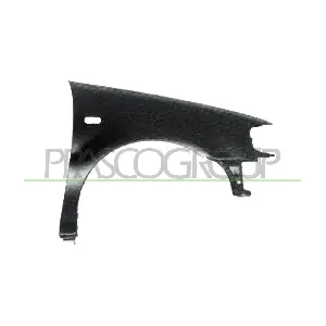 VG0163003 PRASCO