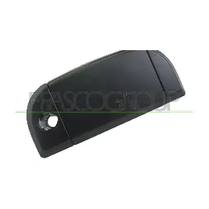 VG9138001 PRASCO
