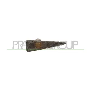 RN0344141 PRASCO