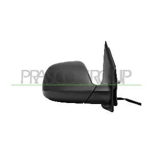 VG9217213 PRASCO