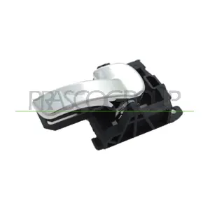 DS7108605 PRASCO