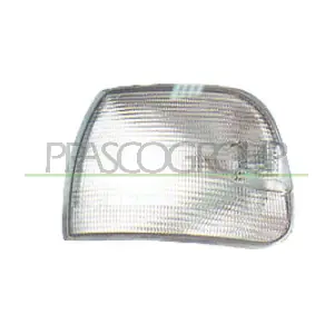 VG9154013 PRASCO