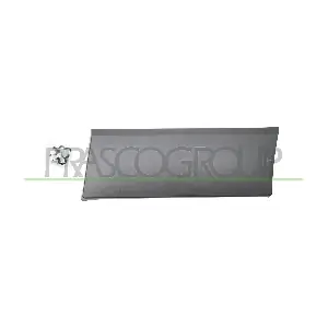 OP9361466 PRASCO