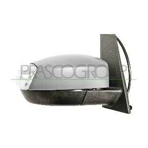 FD7197303P PRASCO