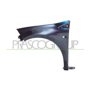 FT1383014 PRASCO