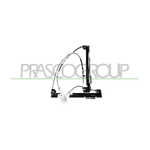 MN304W011 PRASCO