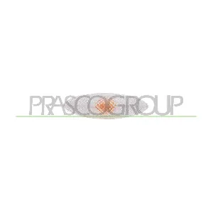 TY3244041 PRASCO