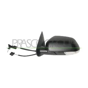 SK0247124 PRASCO