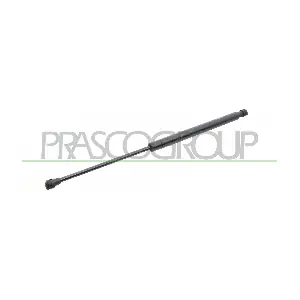 FT3429055 PRASCO
