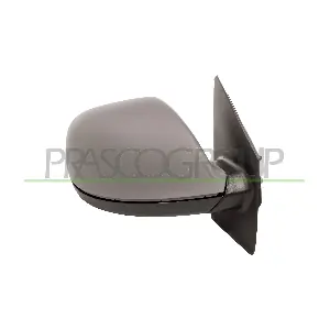 VG9197323 PRASCO