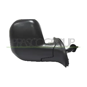 CI9187113 PRASCO