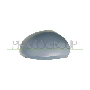 VG8077413 PRASCO