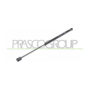 CI3049055 PRASCO