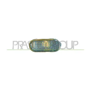 VG0164041 PRASCO