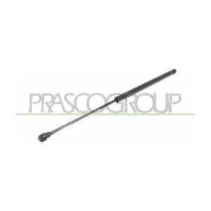 FT1139015 PRASCO