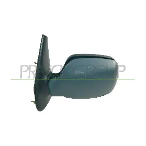RN9167334 PRASCO