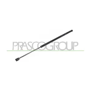 FT4209070 PRASCO