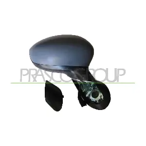 FT0307313 PRASCO