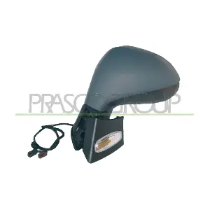 PG3207334P PRASCO
