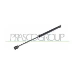 SK3209055 PRASCO