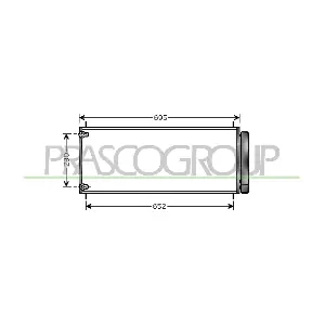 TY020C002 PRASCO