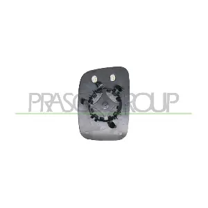 VG9047503 PRASCO