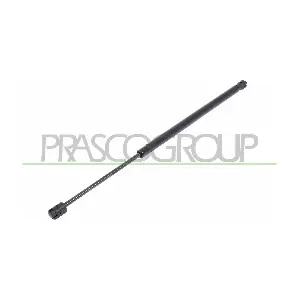 RN0349055 PRASCO