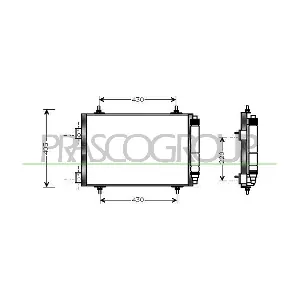 PG420C003 PRASCO