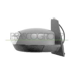 FD7197313P PRASCO