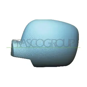 RN9187414 PRASCO
