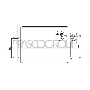 FD428C003 PRASCO