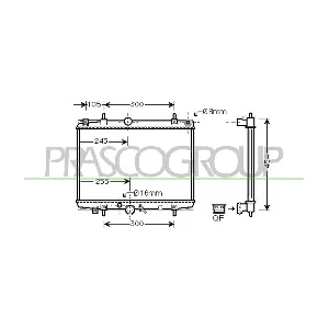 CI520R005 PRASCO