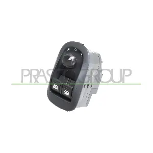 PG009WS04 PRASCO